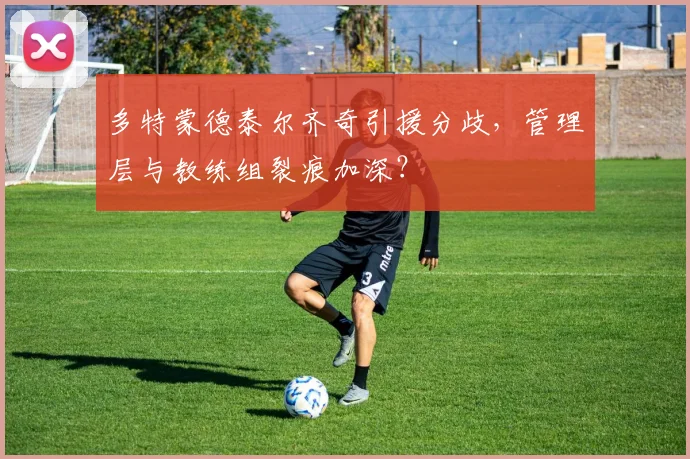 多特蒙德泰尔齐奇引援分歧，管理层与教练组裂痕加深？